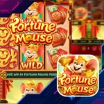 Fortune Mouse